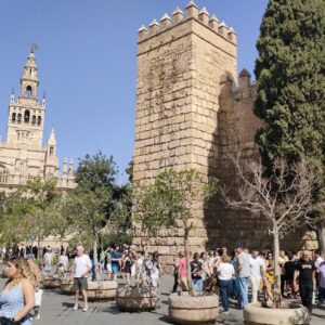 seville private tour